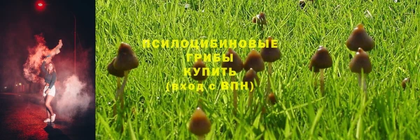 спиды Слюдянка